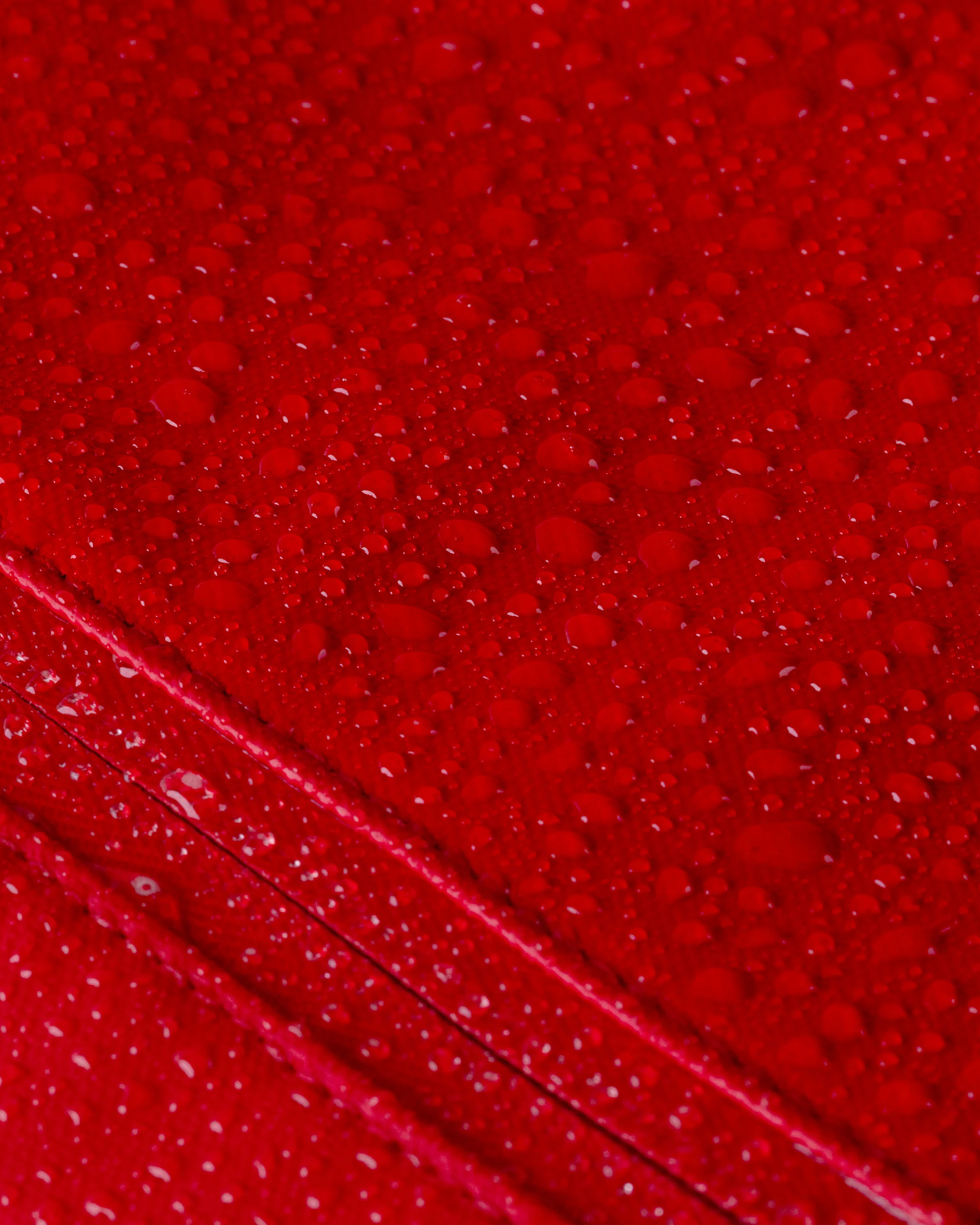 Cascade Backpack - Standard - Image 101